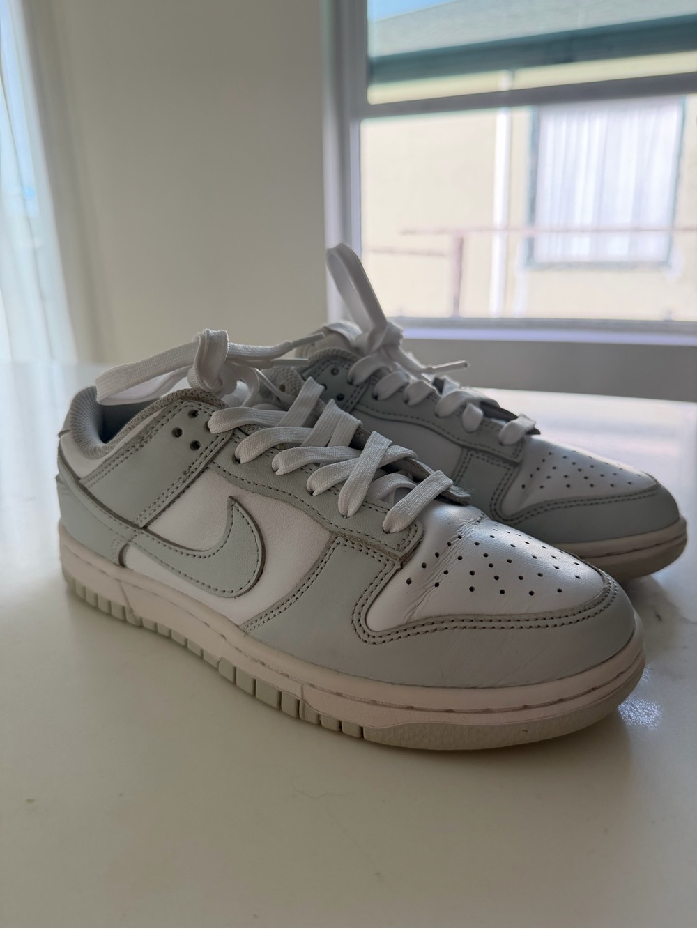 Nike Low-Top Sneakers in White and Light Gray